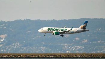 Image 12-19-24 at 8.25 AM